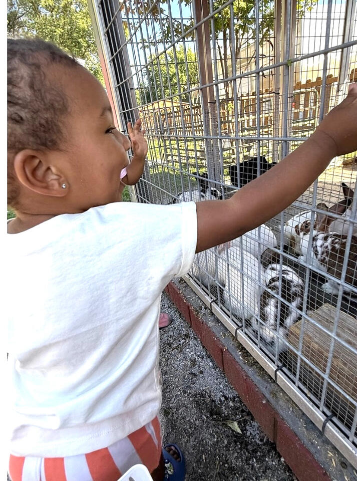 Learning Beyond the Classroom ๐ฐ Young child enjoying an outdoor animal experience during an outing with Advanced Childcare Services LLC